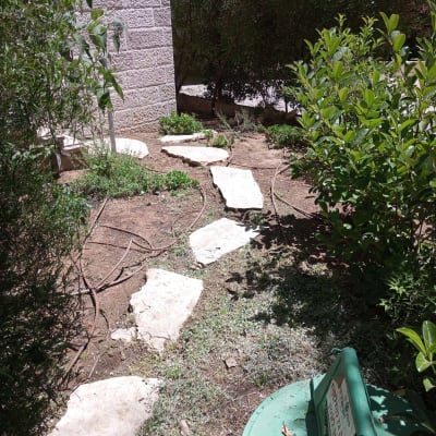 אבנים משתלבות, צינורות השקיה, שיחים ועצים בגינה