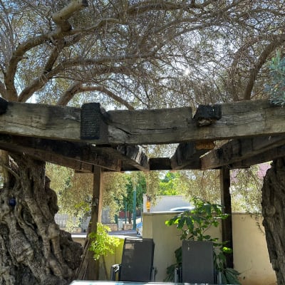 קורות עץ ישנות תומכות בגג גן