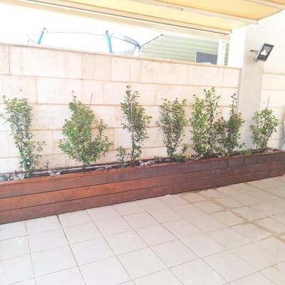 שיחים ירוקים באדנית עץ על מרפסת מרוצפת