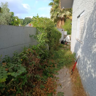 שיחים וגדר חיה עם כלי גינון ליד קיר