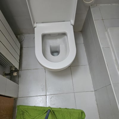 ניקוי שירותים עם מגב ומטלית ירוקה