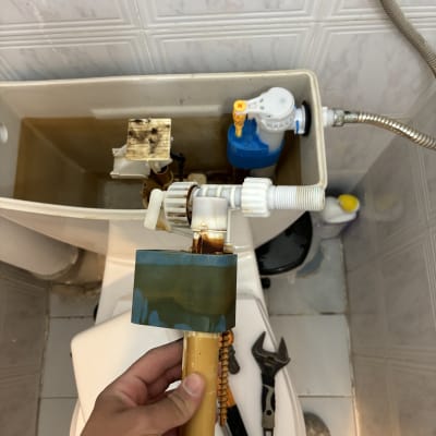 יד מחזיקה חלק של אסלה עם כלים ליד.