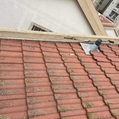 רעפים אדומים עם צינור מתכת על הגג