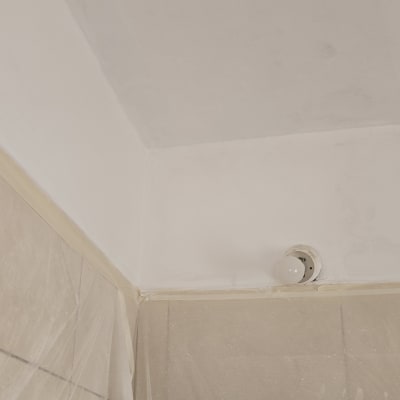 תקרה צבועה עם נורה ויריעת מגן