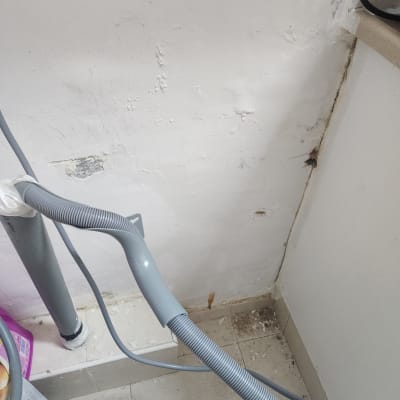 צינור אפור ליד קיר עם סימני רטיבות ועובש