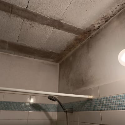 תקרה עם כתמי עובש ורטיבות בחדר אמבטיה