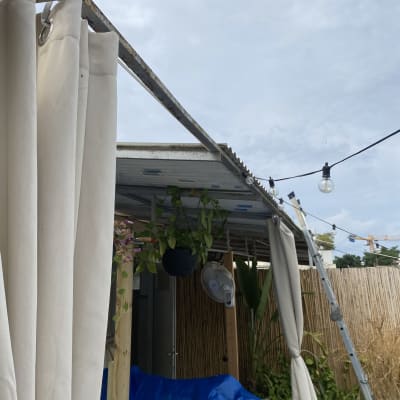 וילון לבן תלוי, צמחים תלויים, סולם, יריעת פלסטיק כחולה