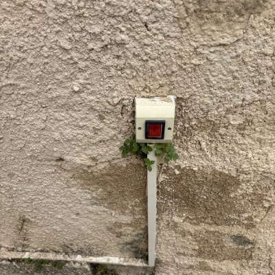 לחצן חשמלי על קיר חיצוני עם צמחייה