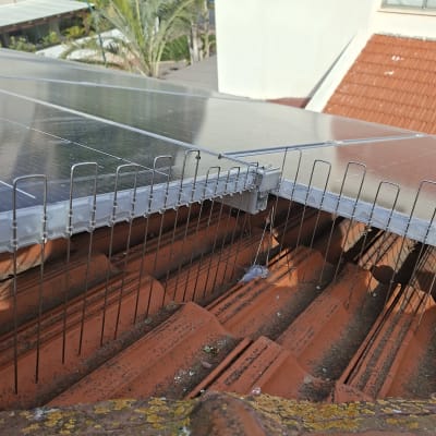 דוקרנים על גג למניעת כניסת יונים