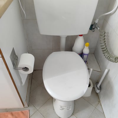 אסלה עם מיכל הדחה, צינור מים ומברשת ניקוי