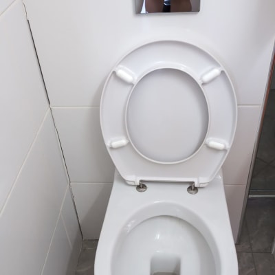 אסלה עם מכסה פתוח ולחצן הדחה על הקיר