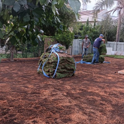 שני אנשים פורשים דשא מגולגל על אדמה בגינה