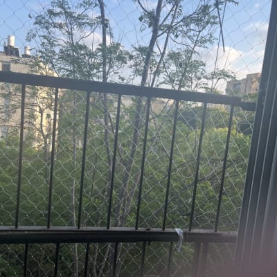 רשת על חלון למניעת כניסת יונים