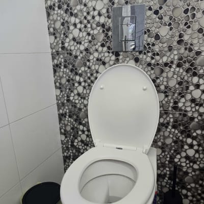 אסלה עם עיצוב קיר ייחודי בחדר אמבטיה