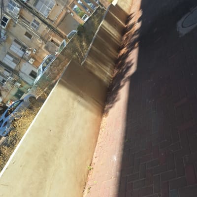 ערוגת בטון עם צמחים יבשים לצד שביל מרוצף