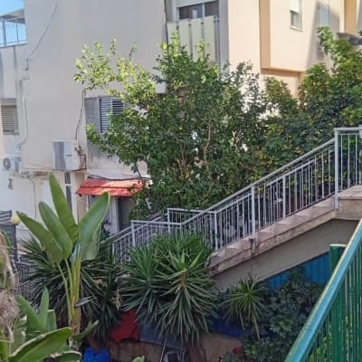 צמחים ועצים ליד בניין עם מדרגות חיצוניות