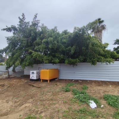 עץ גדול ליד גדר מתכת עם מכשיר כתום