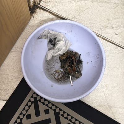 קערה עם לכלוך שהוצא מצנרת ביוב