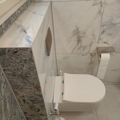 שירותים עם חיפוי שיש ולחצן הדחה מודרני