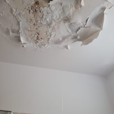 תקרה מתקלפת עם סימני רטיבות ועובש