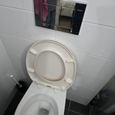 אסלה תלויה עם לחצן של ניאגרה סמויה גבריט בחדר רחצה
