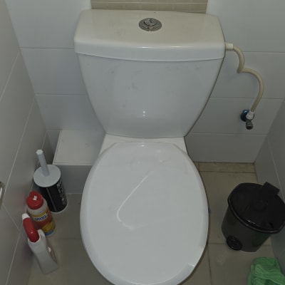 אסלה עם חומרי ניקוי בצד