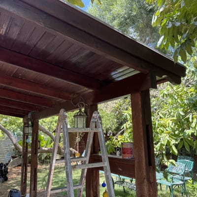 פרגולה מעץ עם סולם בגינה ירוקה