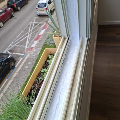 חלון עם איטום לבן ליד עציצים