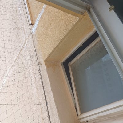 חלון פתוח עם רשת בטיחות על קיר חיצוני