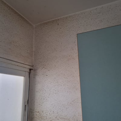 קיר עם כתמי צבע כהים ליד חלון