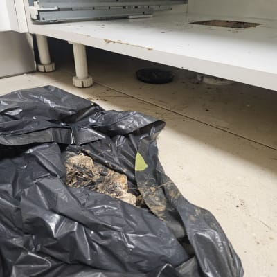 שקית זבל עם פסולת מתחת לארון מטבח