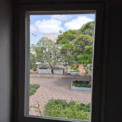 נוף דרך חלון עם עצים ושמים כחולים