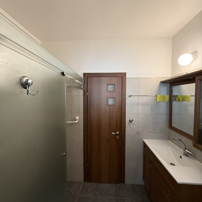 חדר אמבטיה עם דלת עץ, כיור ומראה