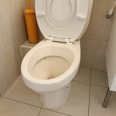 אסלה עם מברשת שירותים בחדר אמבטיה