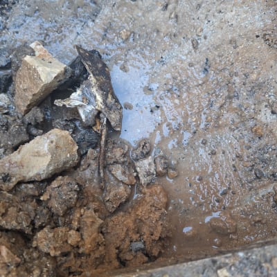 אדמה רטובה עם אבנים קטנות וסדקים