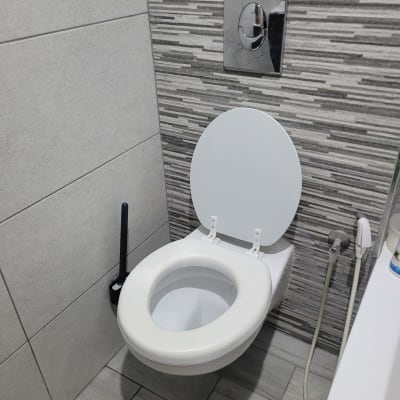 אסלה תלויה עם מברשת ניקוי ושירותים