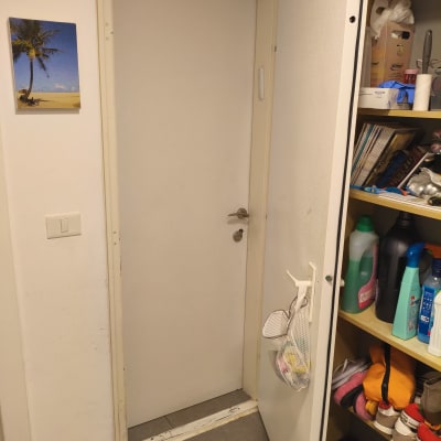 דלת לבנה עם ידית מתכת, מדף עם חומרי ניקוי ונעליים