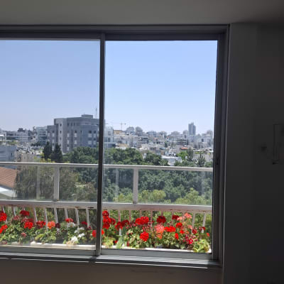 חלון זכוכית עם נוף לעיר ופרחים אדומים