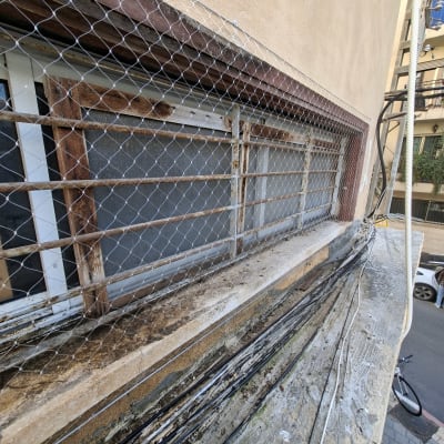 הרחקת יונים