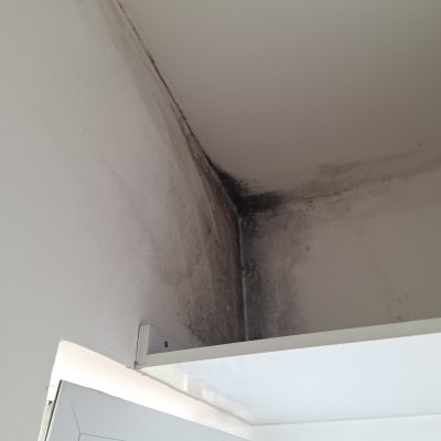 פינה עם כתמי עובש על הקיר והתקרה