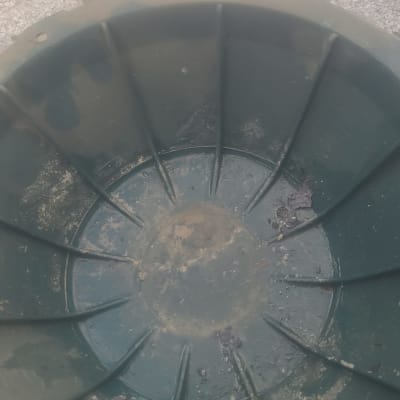 תמונה אינה מציגה עבודה בתחום