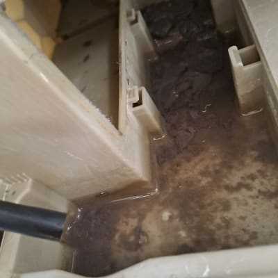 תא פלסטיק עם מים ולכלוך, כבל חשמלי שחור