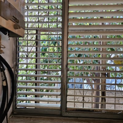 תריסים ישנים עם נוף עצים בחוץ