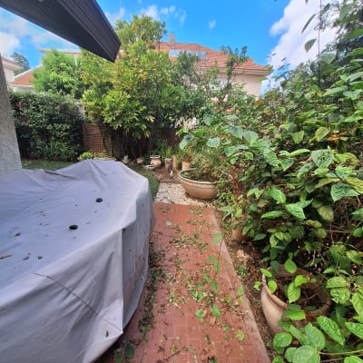 עציצים עם צמחים על שביל מרוצף בגינה