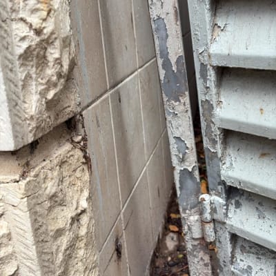 תמונה אינה מציגה עבודה בתחום