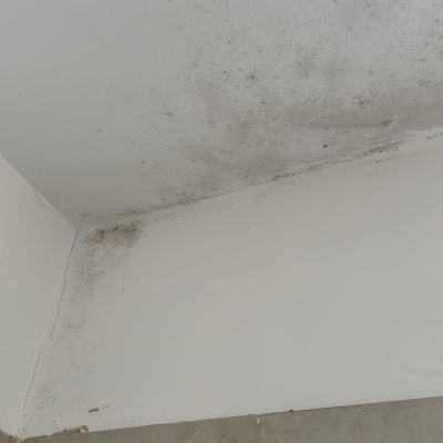 פינת קיר עם עובש על התקרה והקיר