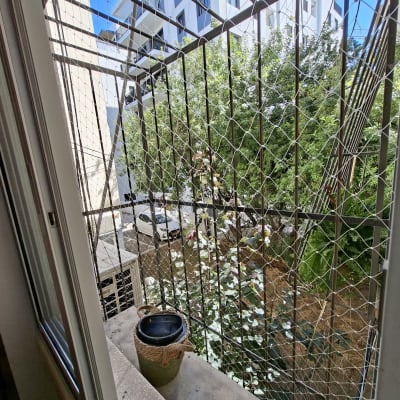 רשת הגנה על חלון עם עציצים ברקע