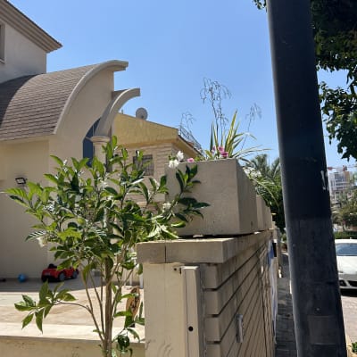 עץ קטן ופרחים על קיר גינה