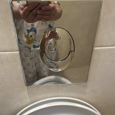 לחצן הדחה של אסלה עם השתקפות חלקית של אדם