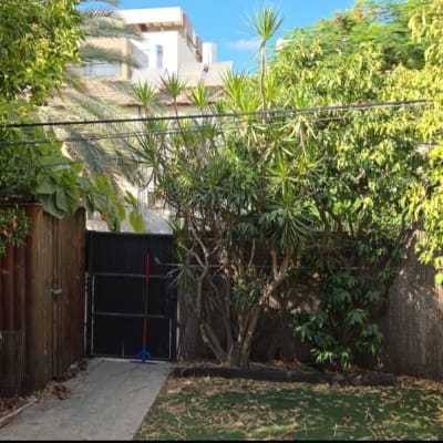 גינה עם עצים ושיחים, שביל וגדר עץ